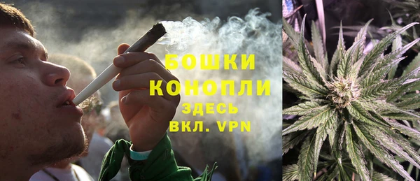 наркотики Бородино