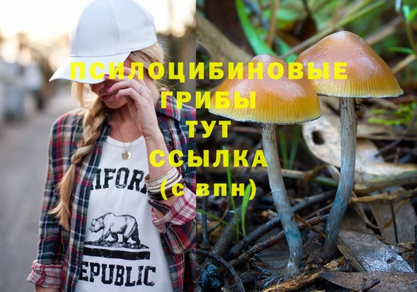 мяу мяу мука Бронницы