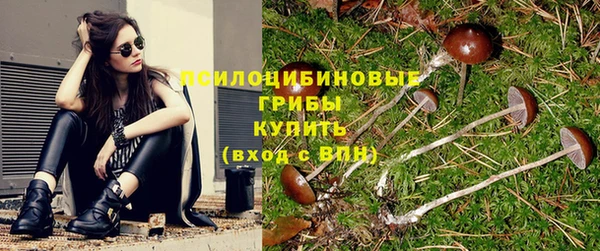 jwh Богородицк