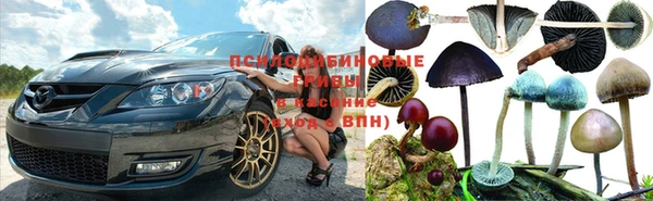 скорость Богородск