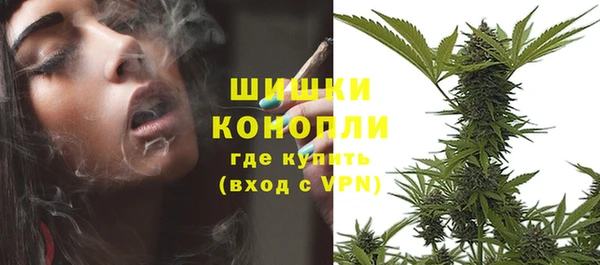 наркотики Бородино