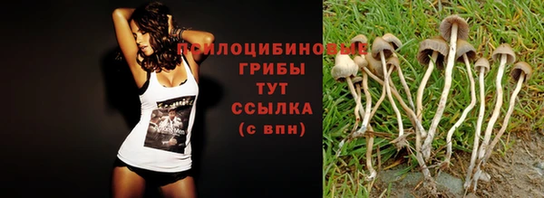 ПСИЛОЦИБИНОВЫЕ ГРИБЫ Бугульма