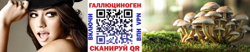 Галлюциногенные грибы GOLDEN TEACHER  закладки  Афипский 